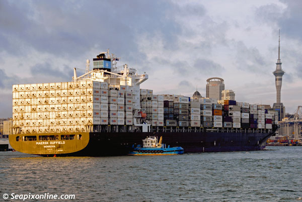 Maersk Duffield, Columbus New Zealand, P&O Nedlloyd Resolution, Santa Rosanna 9227340 ID 6141